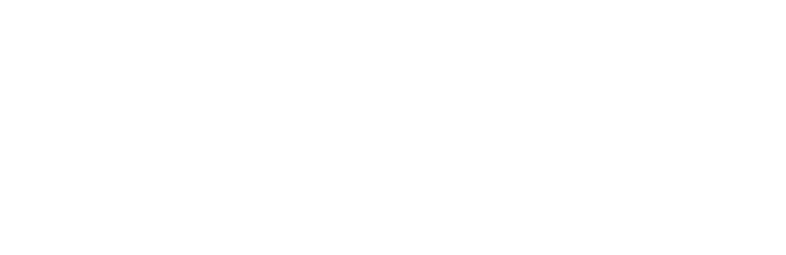 WPS Group